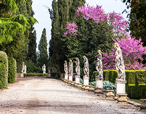 http://dev.gardenrouteitalia.it/gr_offers/villa-trissino-marzotto/