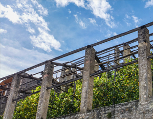http://dev.gardenrouteitalia.it/gr_offers/limonaia-la-malora/